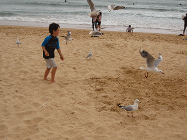 zach & seagulls @ Manly